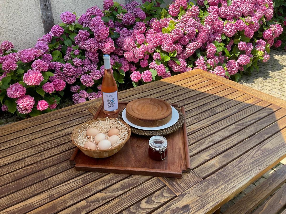 Le Clos Du Benestar Mauvezin-d'Armagnac ภายนอก รูปภาพ
